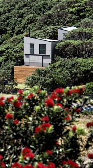 The Pohutukawa House by Matthew Gribben Architecture (via Lunchbox Architect)
